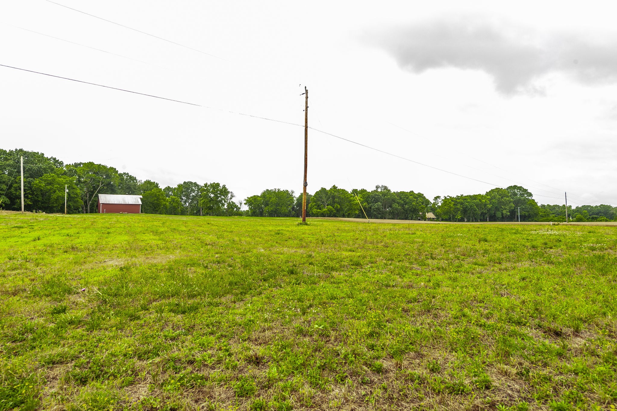 1113 East Robertson Road Castalian Springs, TN 37031 - Photo 45 of 56