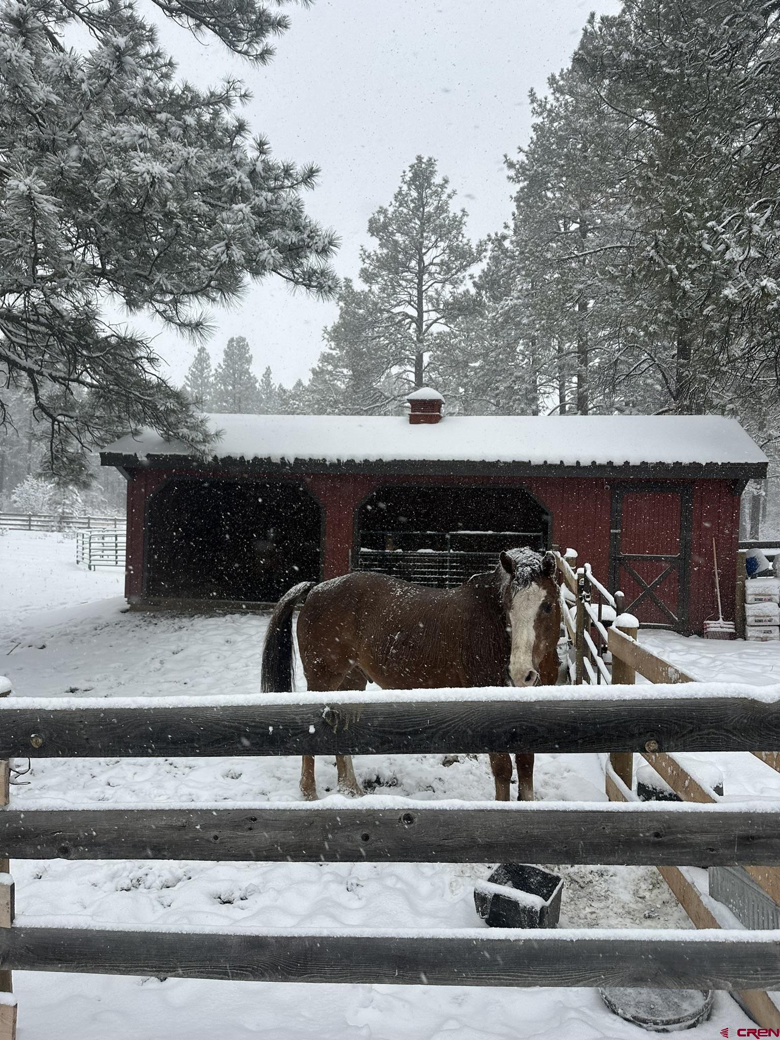 513 West Log Hill Road Pagosa Springs, CO 81147 - Photo 15 of 20