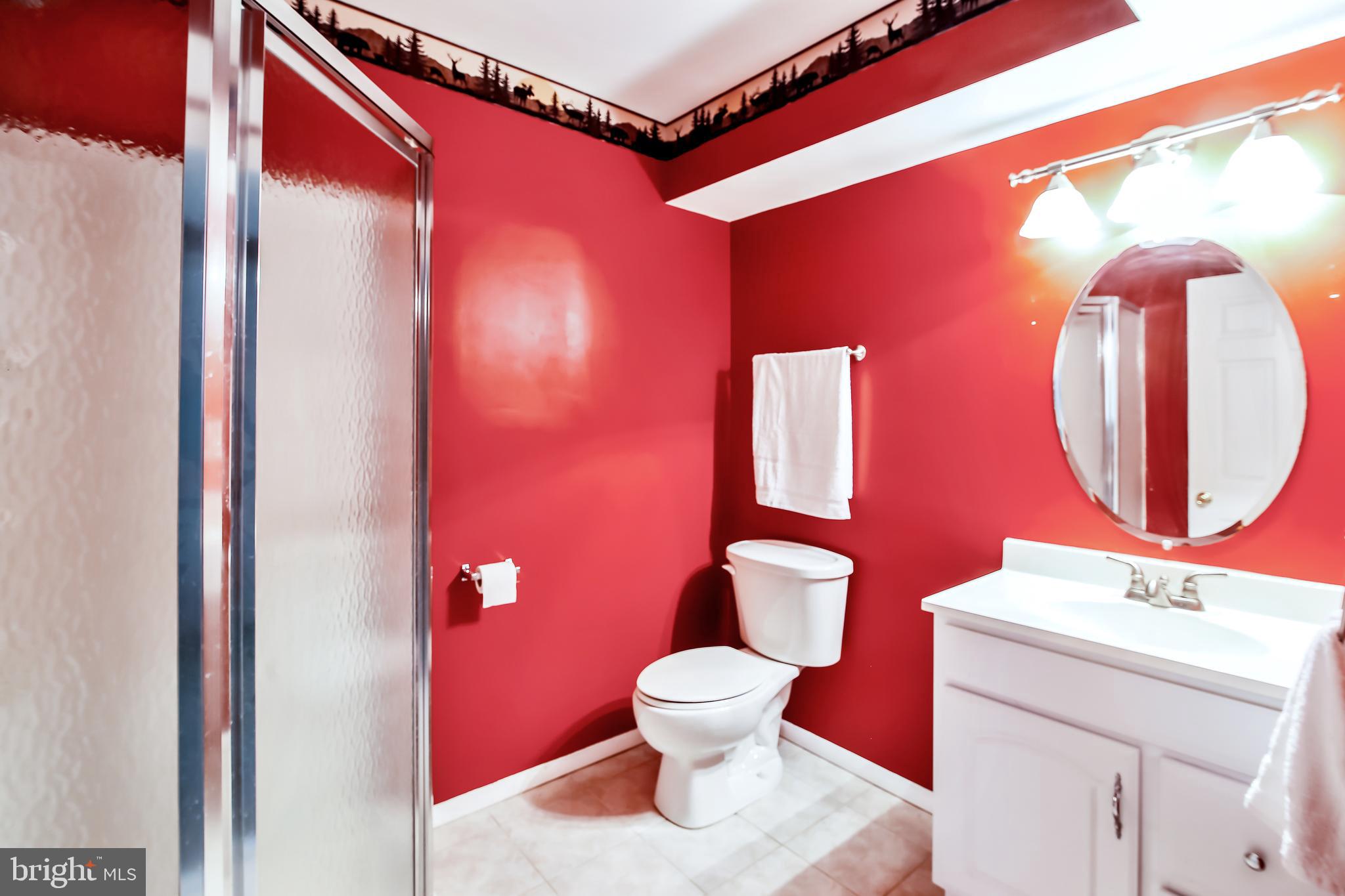 8 Centerside Road Mount Airy, MD 21771 - Photo 23 of 29 Basement full bath