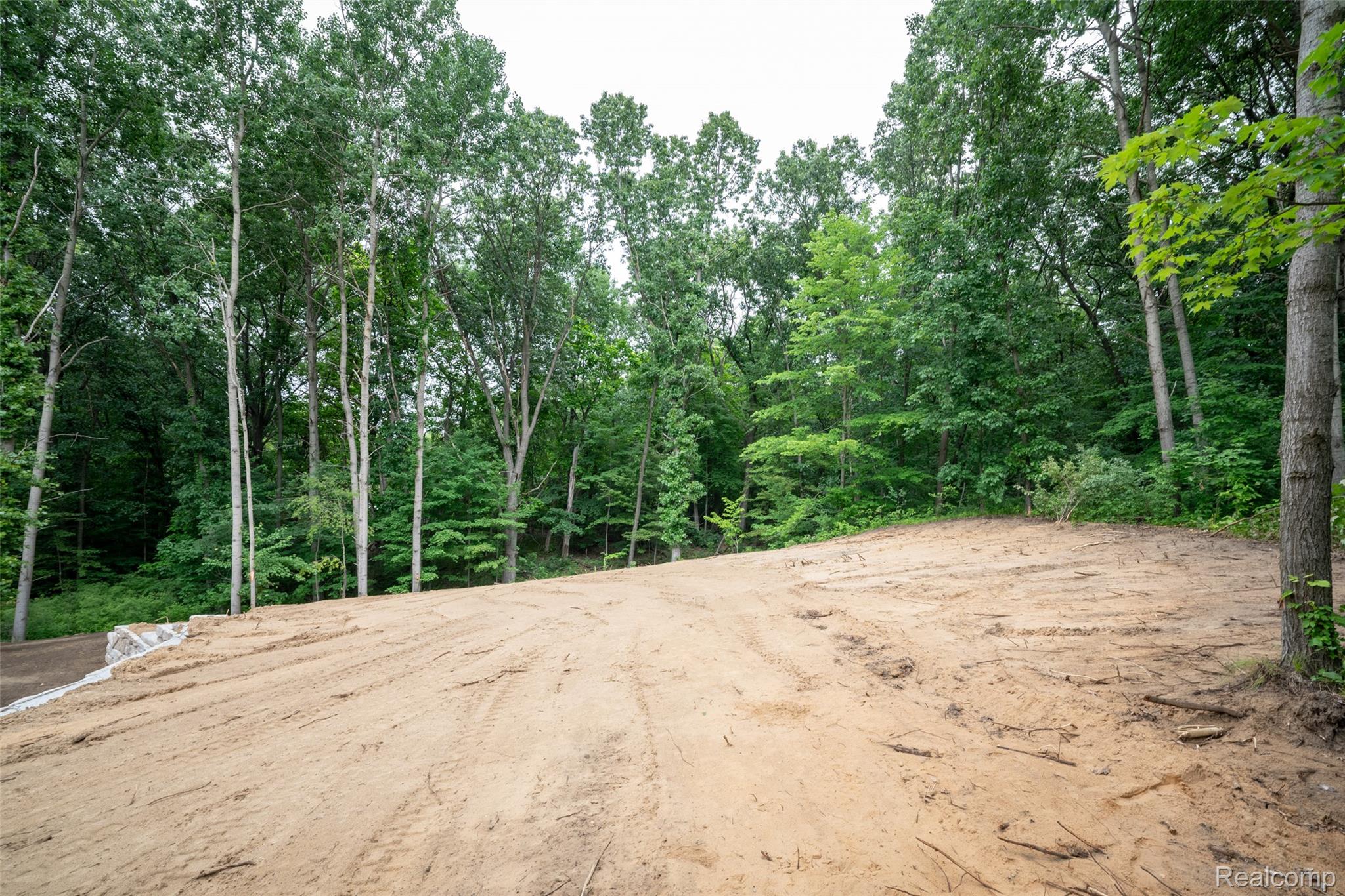 16085 Catalpa Ridge Holly, MI 48442 - Photo 31 of 40 DSC_3121-HDR.jpg