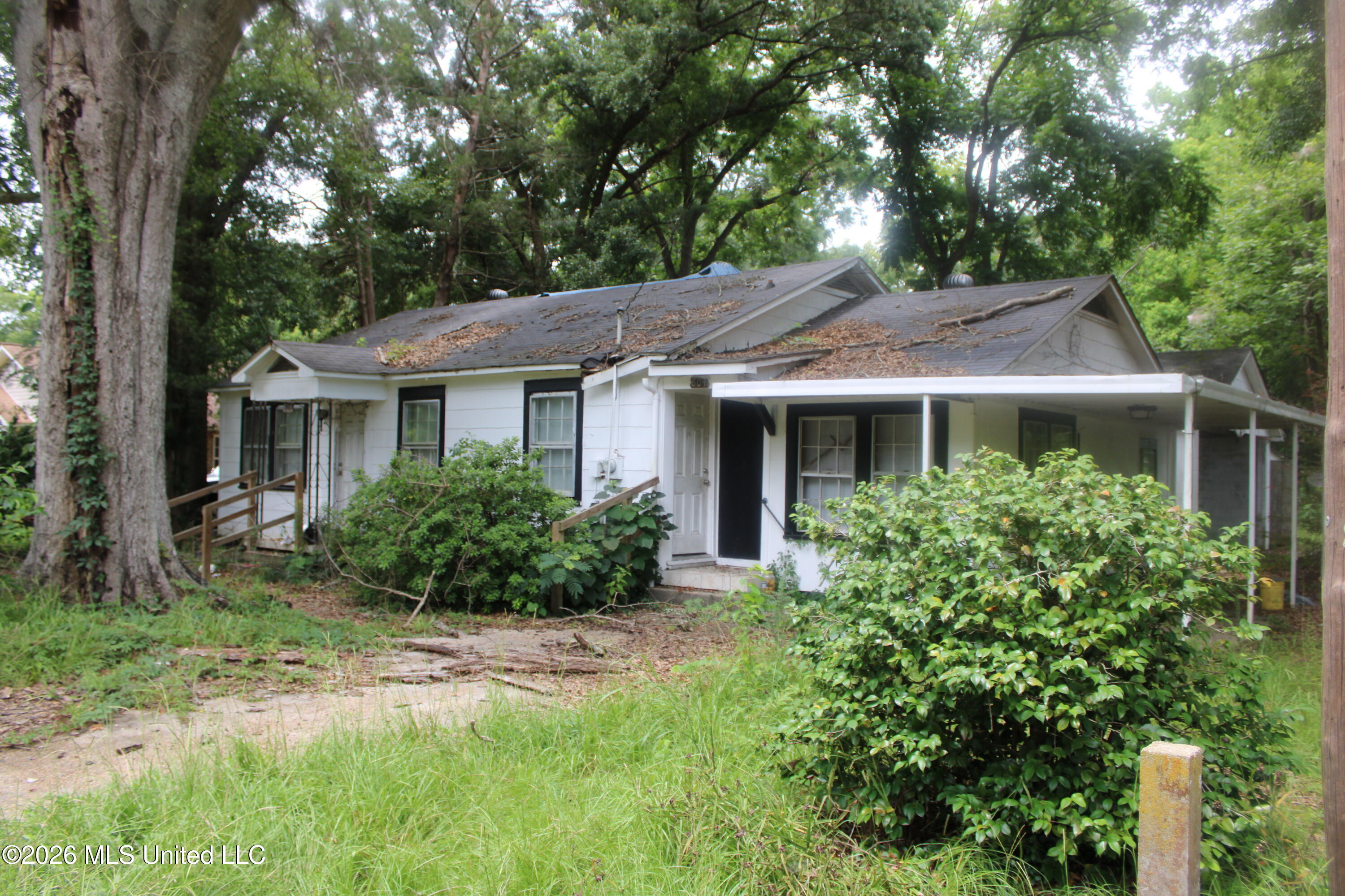 804 Lafayette Street Prentiss, MS 39474 - Photo 2 of 10 IMG_1053