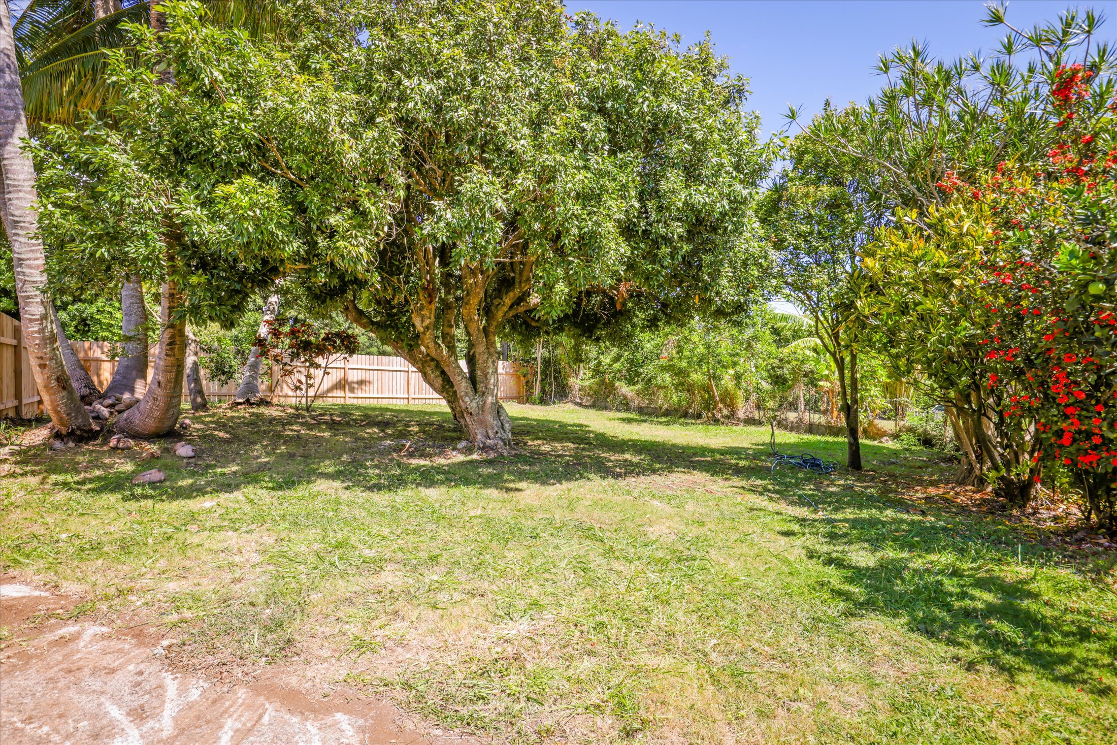 55-545 Hawi Road Hawi, HI 96719 - Photo 19 of 27 a view of outdoor space with trees