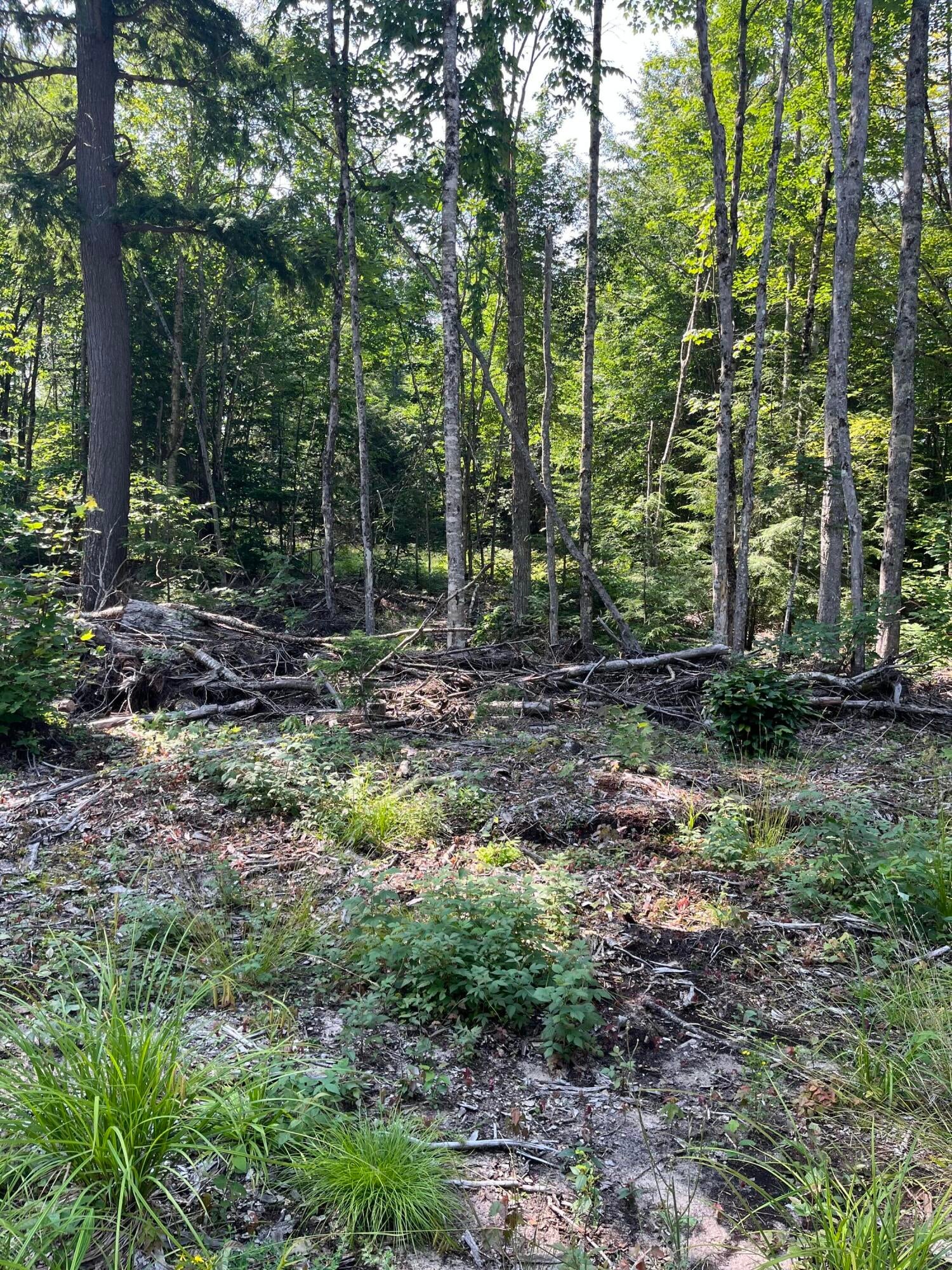 2137 North Hulbert Road Eckerman, MI 49728 - Photo 1 of 9 Gallery Image 1
