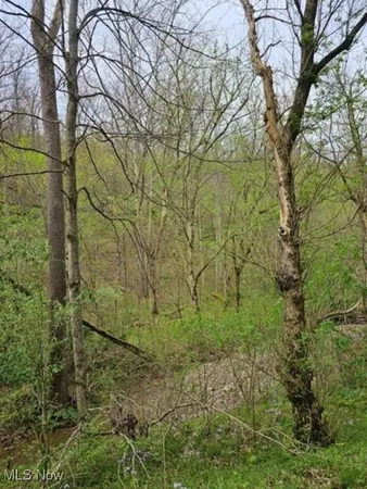 $18,500 | 1247 Rocky Branch Road, Spencer, WV 25276