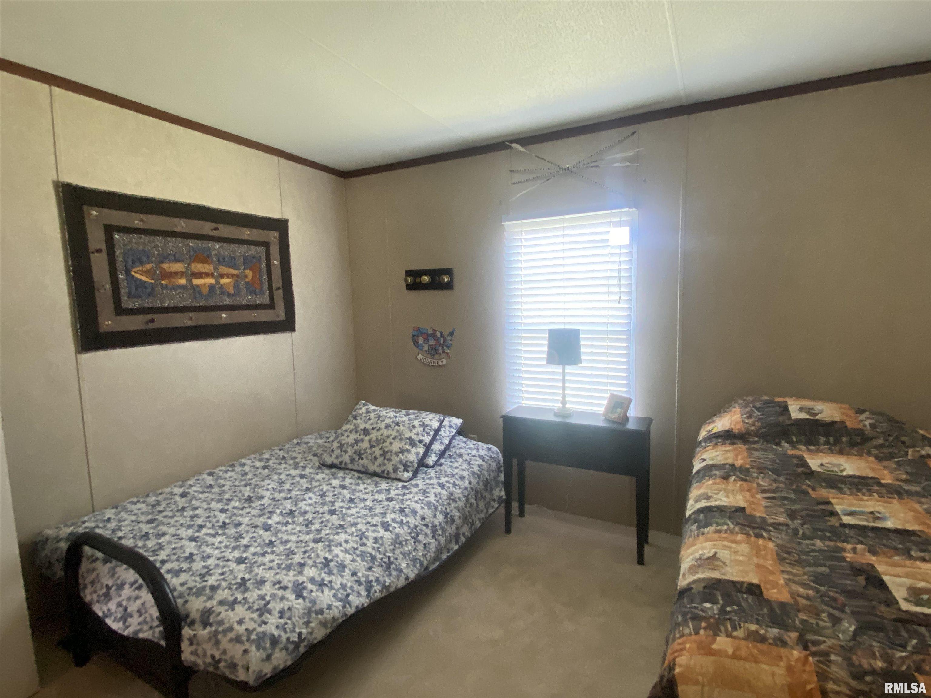 23690 Meadowlark Road Carrier Mills, IL 62917 - Photo 27 of 38