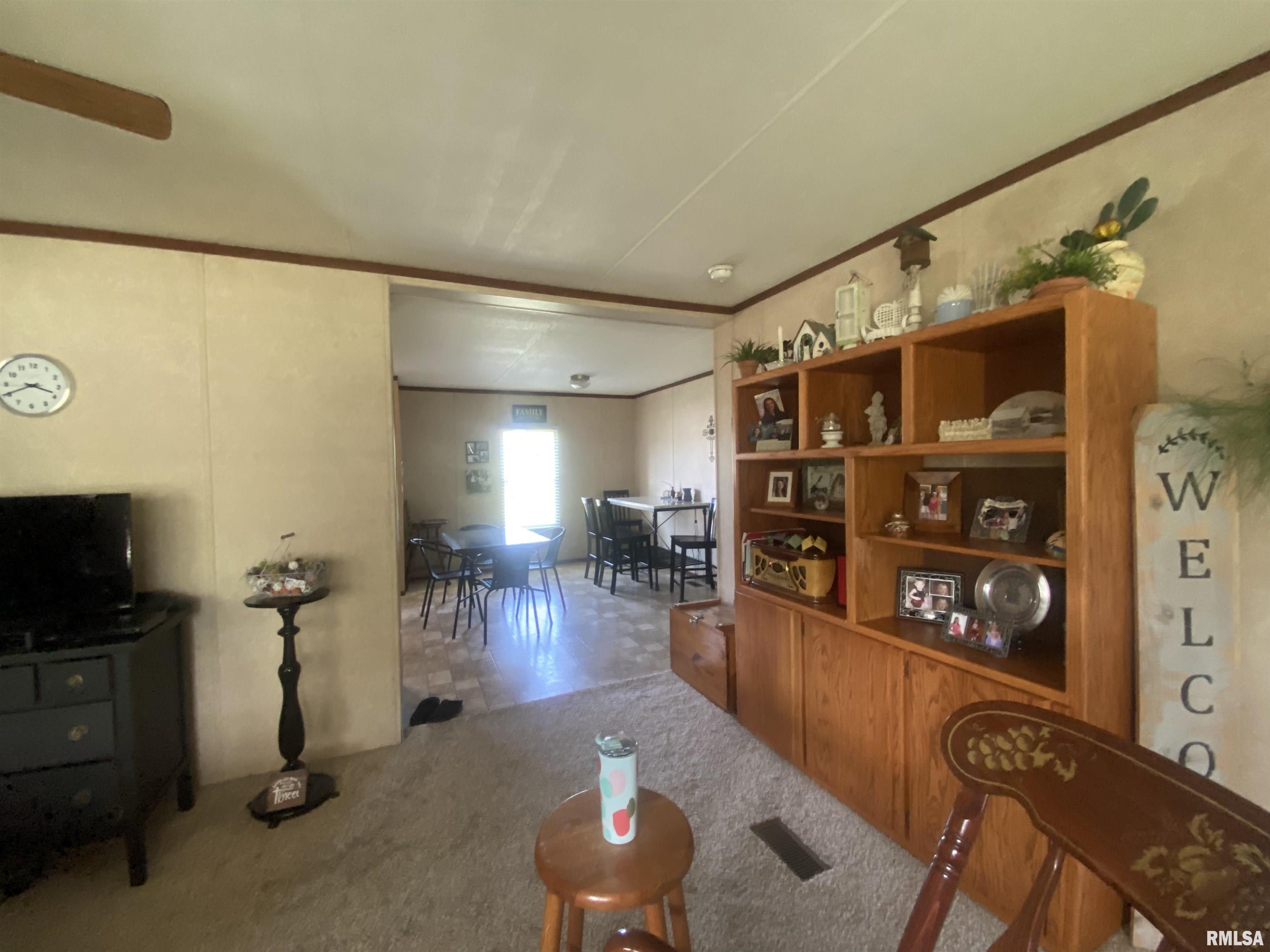 23690 Meadowlark Road Carrier Mills, IL 62917 - Photo 30 of 38