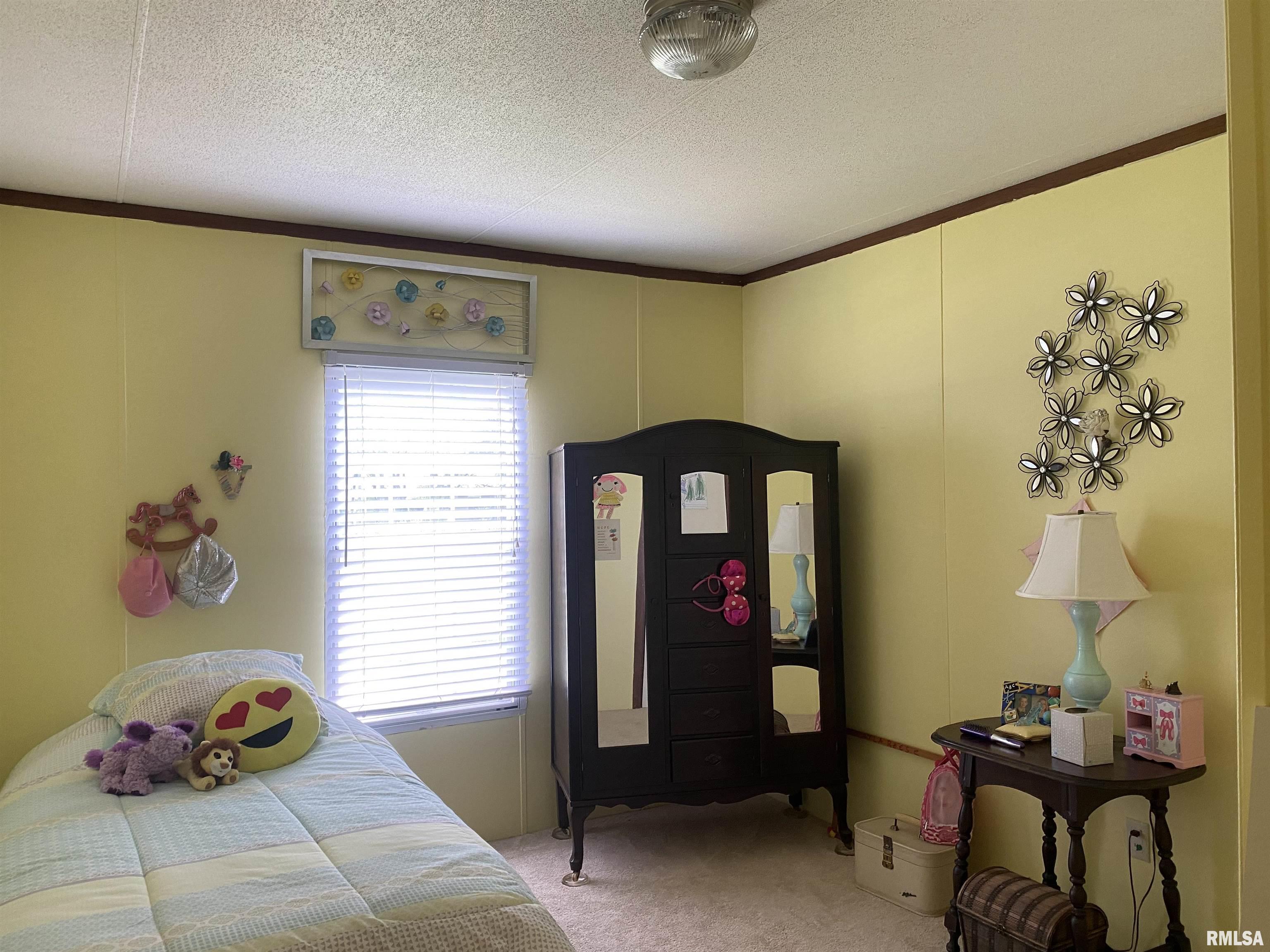 23690 Meadowlark Road Carrier Mills, IL 62917 - Photo 32 of 38