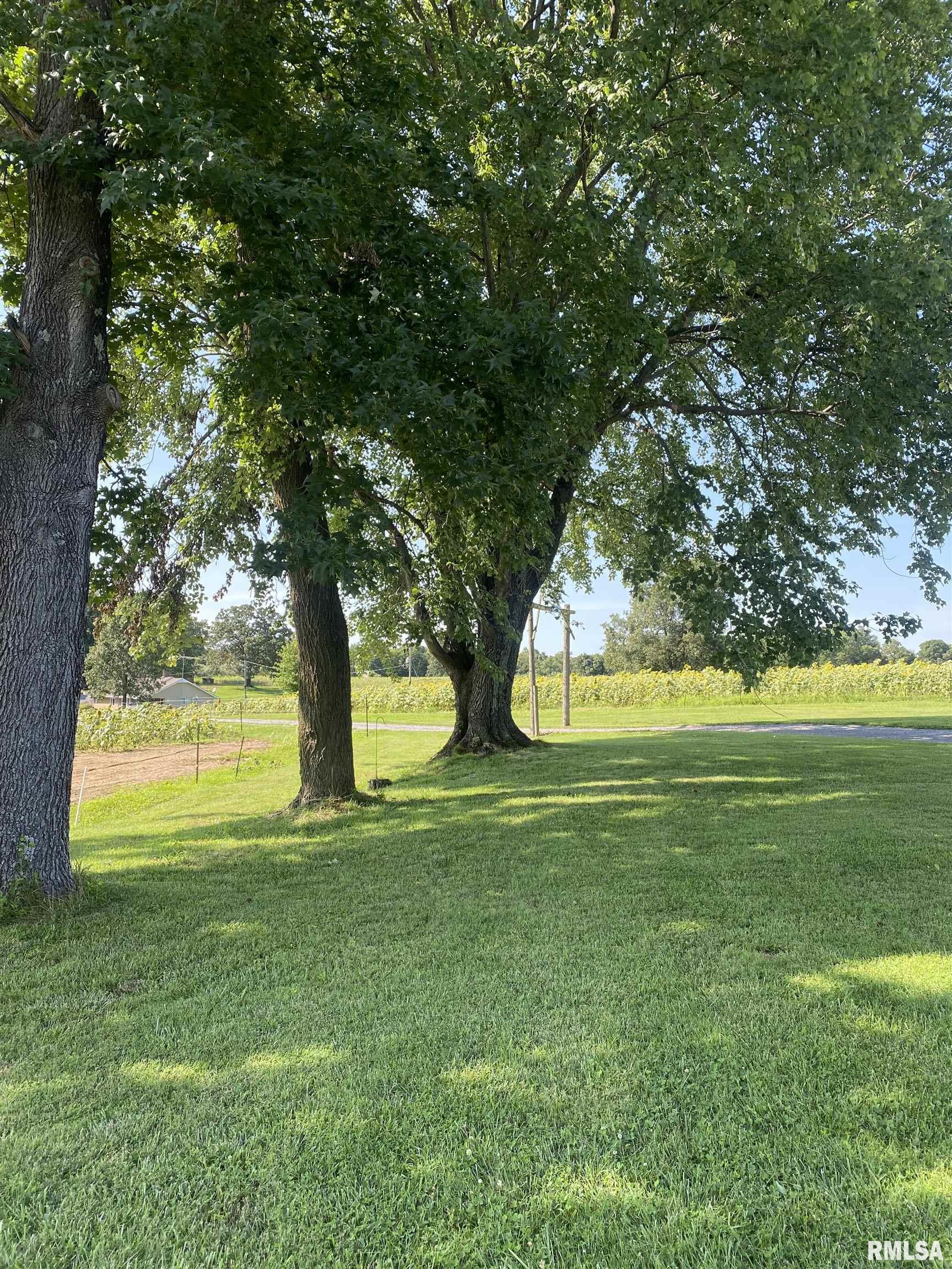 23690 Meadowlark Road Carrier Mills, IL 62917 - Photo 7 of 38