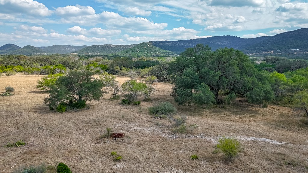 677 Kahn Drive Rio Frio, TX 78879 - Photo 23 of 32
