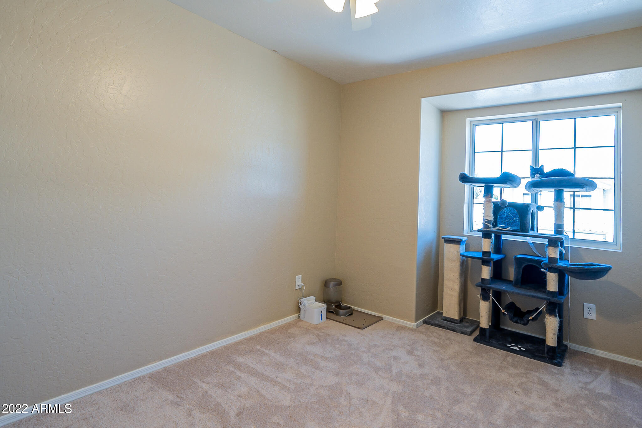 877 West Shellfish Drive Gilbert, AZ 85233 - Photo 34 of 59 Shellfish-33