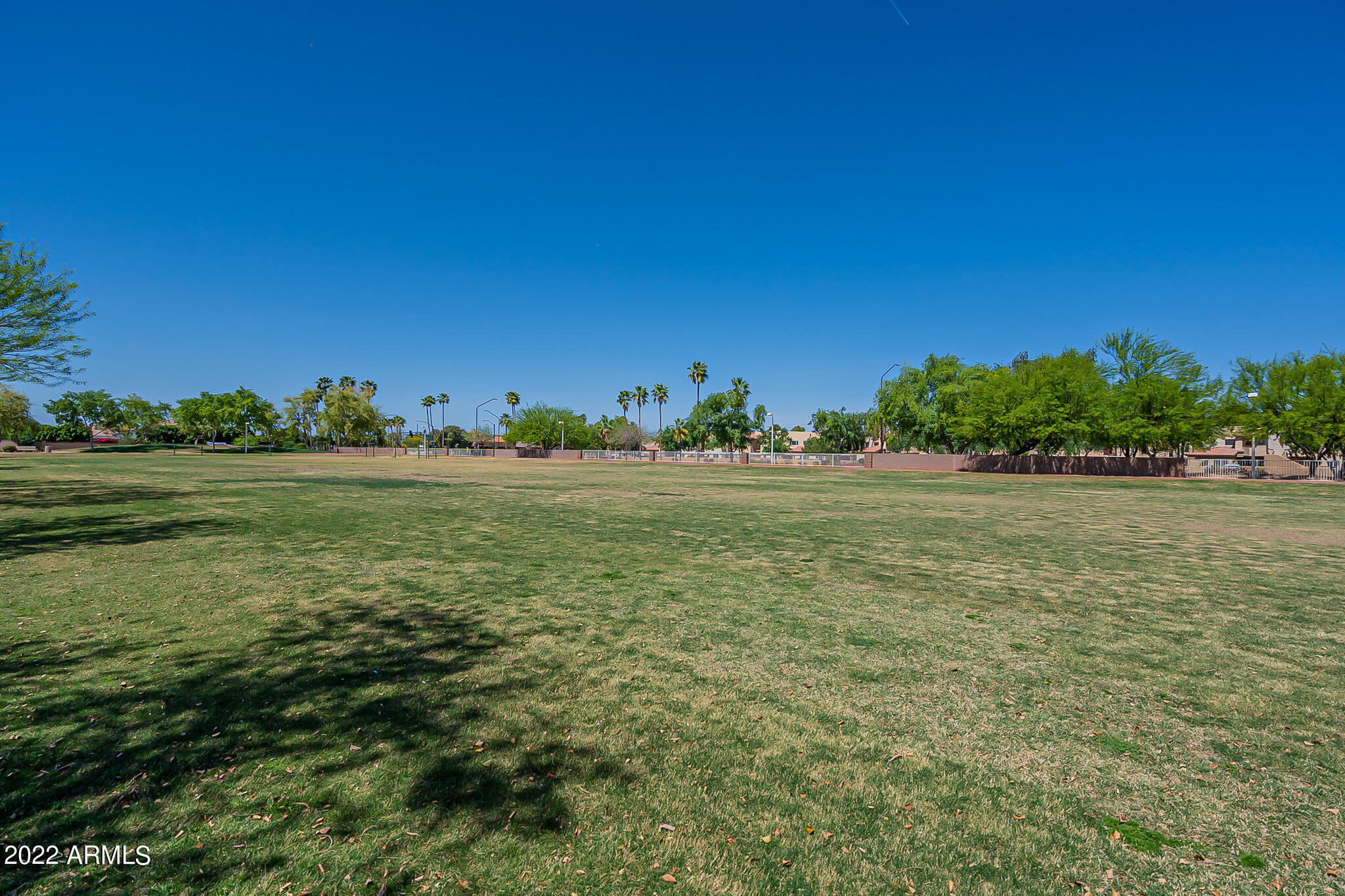 877 West Shellfish Drive Gilbert, AZ 85233 - Photo 43 of 59 Shellfish-42