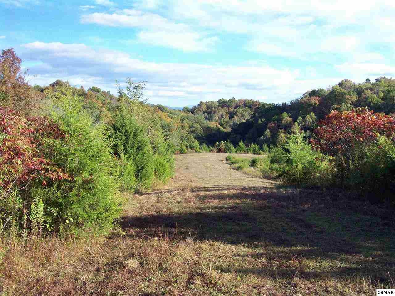 1301 Vinson Hollow Road Bybee, TN 37713 - Photo 1 of 1