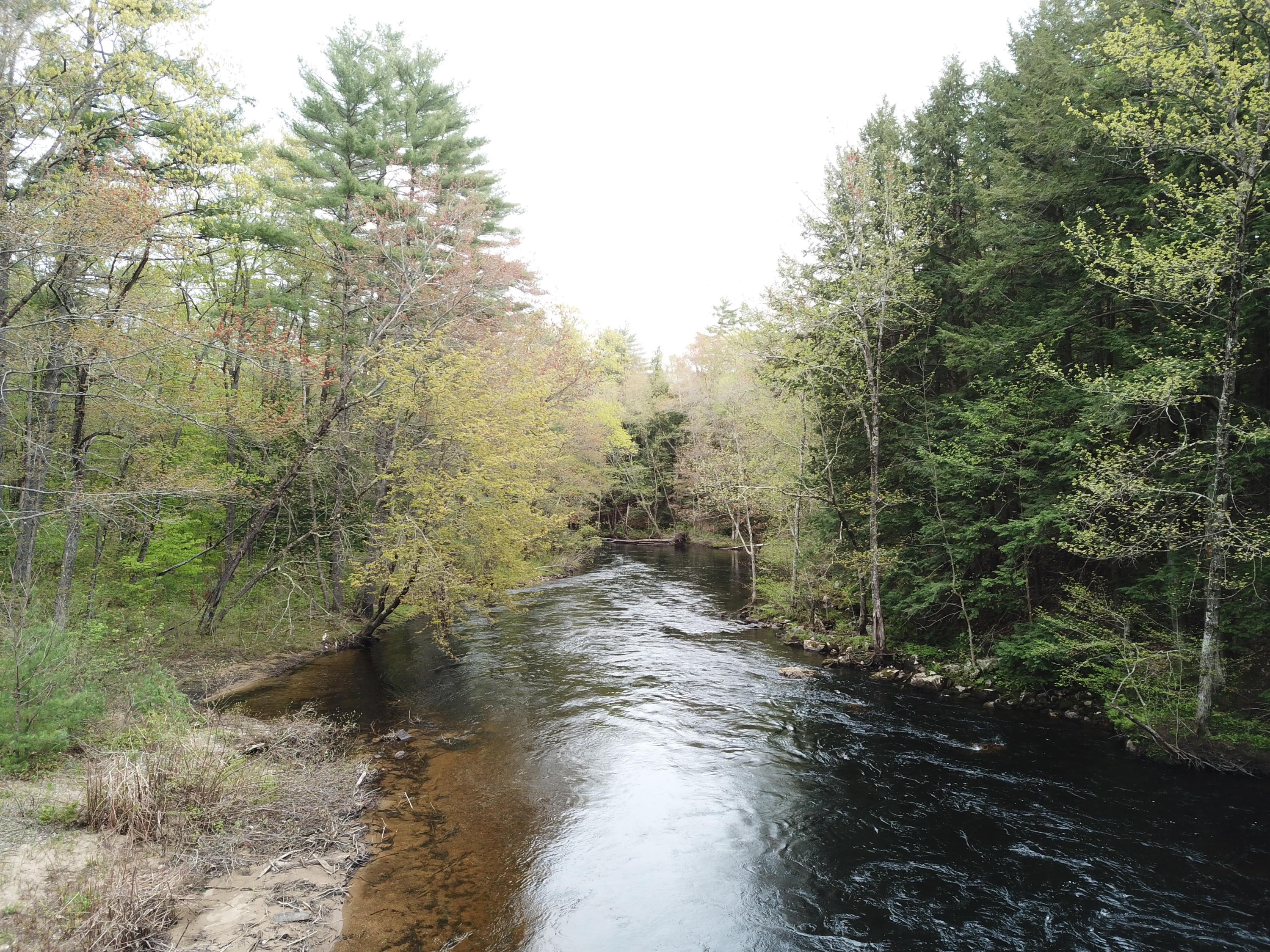 200 Federal Road Parsonsfield, ME 04047 - Photo 7 of 36 DJI_0045