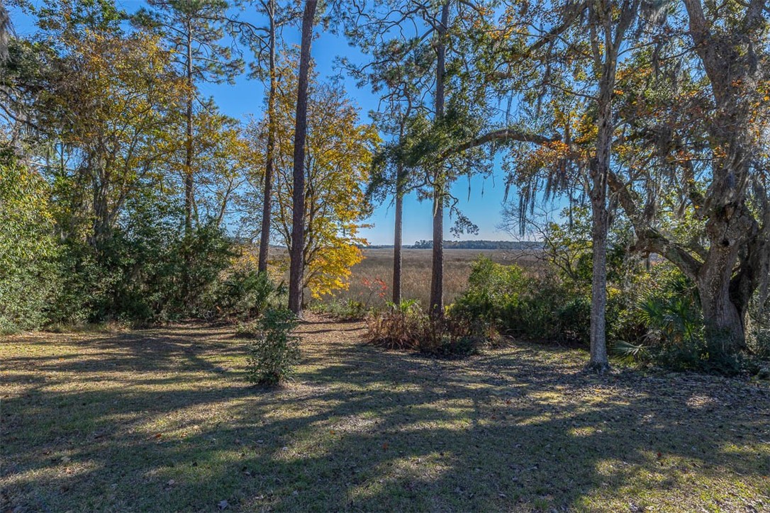 View of marsh from back yard
