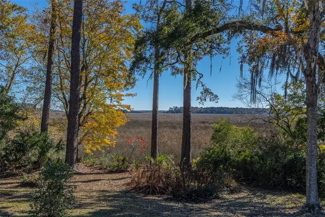 $1,600,000 | 1156 Snows Lane, Darien, GA 31305