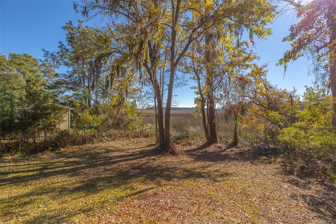 1156 Snows Lane Darien, GA 31305 - Photo 61 of 66