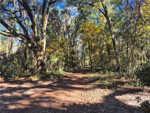 $1,600,000 | 1156 Snows Lane, Darien, GA 31305