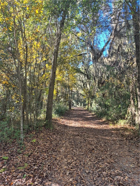 1156 Snows Lane Darien, GA 31305 - Photo 62 of 64