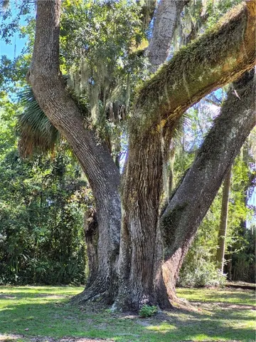 $1,600,000 | 1156 Snows Lane, Darien, GA 31305