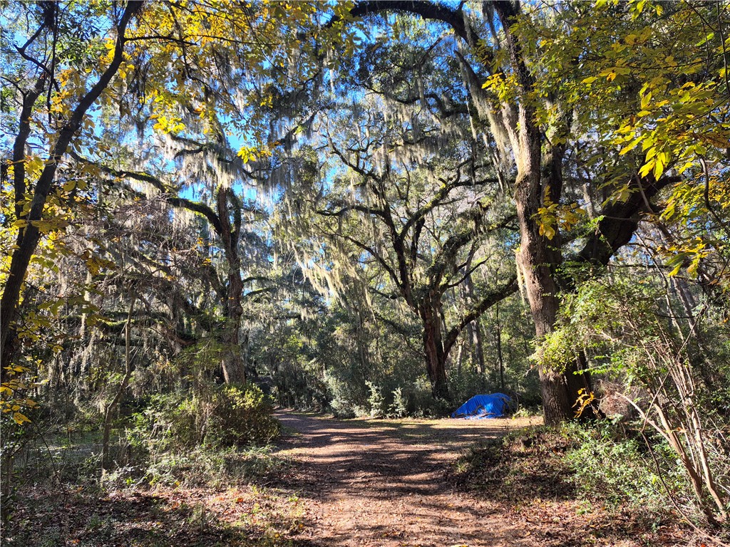 1156 Snows Lane Darien, GA 31305 - Photo 63 of 64