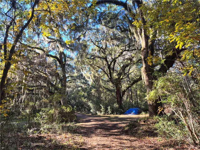 $1,600,000 | 1156 Snows Lane, Darien, GA 31305