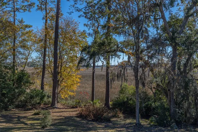 $1,600,000 | 1156 Snows Lane, Darien, GA 31305