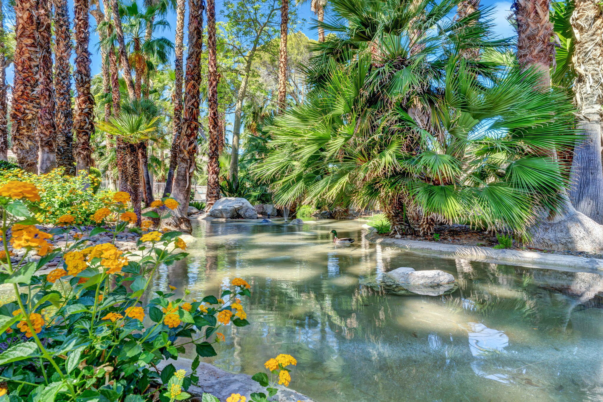 360 Cabrillo Road, Unit 103 Palm Springs, CA 92262 - Photo 48 of 50 49-web-or-mls-_DSC2025