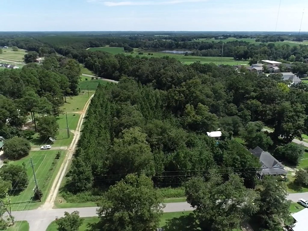 2.59 Cypress Rd/dexter Rd/ Worrell Street Eufaula, AL 36027 - Photo 5 of 9