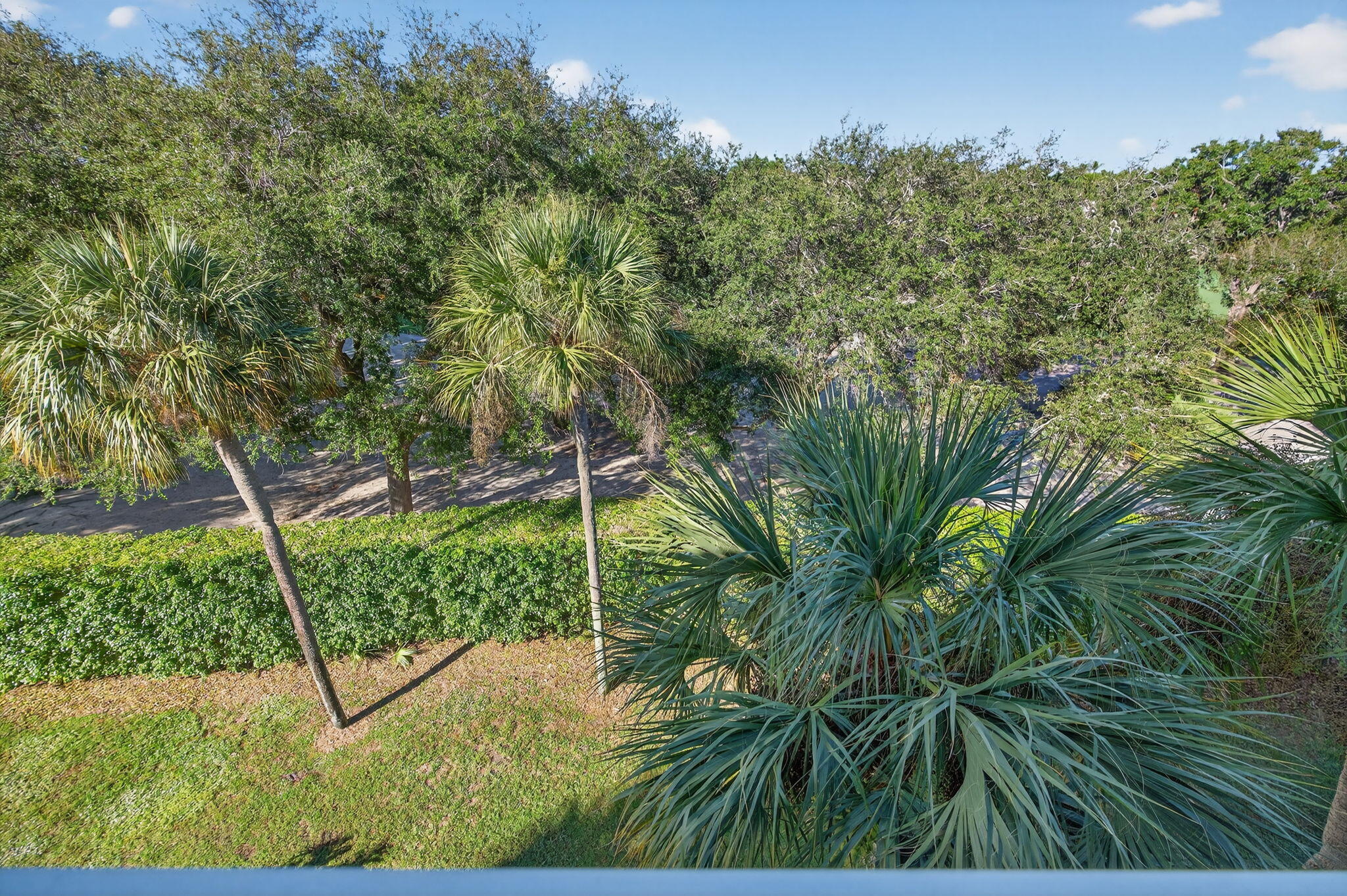 2581 Village Boulevard, Unit 401 West Palm Beach, FL 33409 - Photo 23 of 24 a view of a backyard