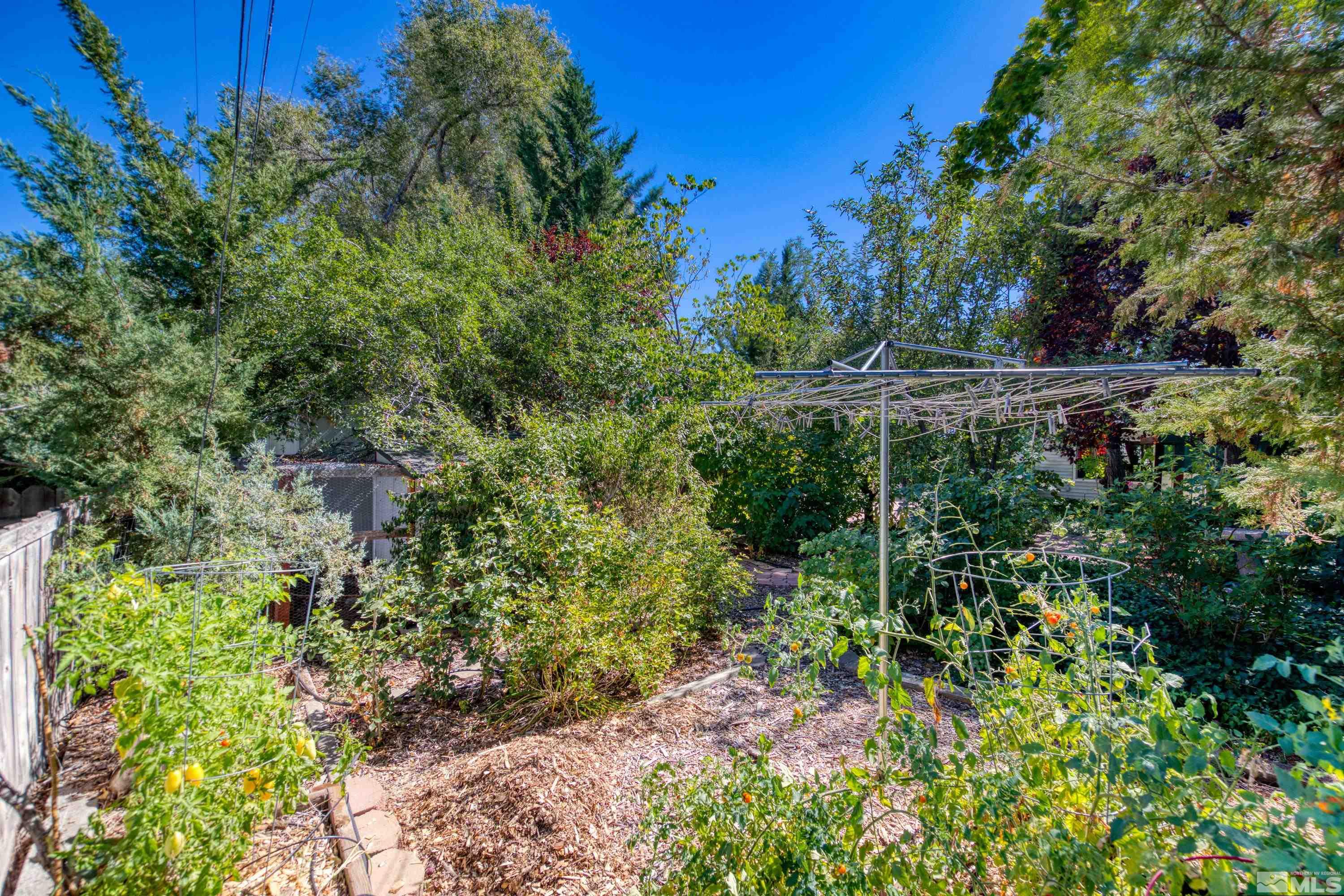 1340 Wesley Drive Reno, NV 89503 - Photo 39 of 39 a view of a garden with plants