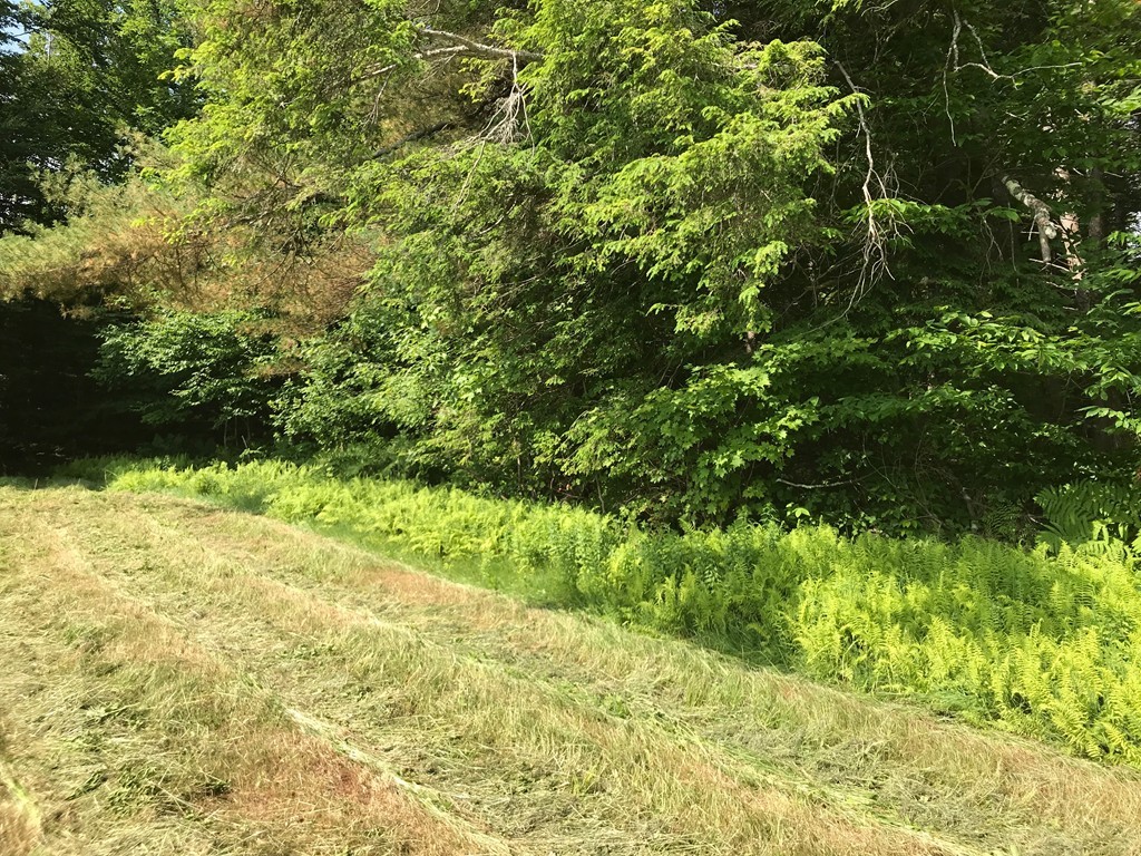 0 Number 9 Road Charlemont, MA 01339 - Photo 3 of 6 Gallery Image 3