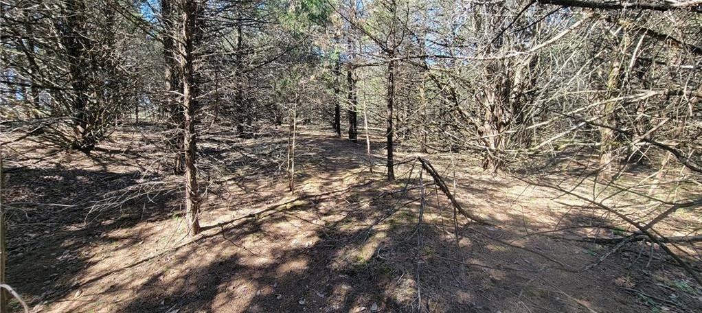 3528 West Virginia Road Kincaid, KS 66039 - Photo 21 of 61