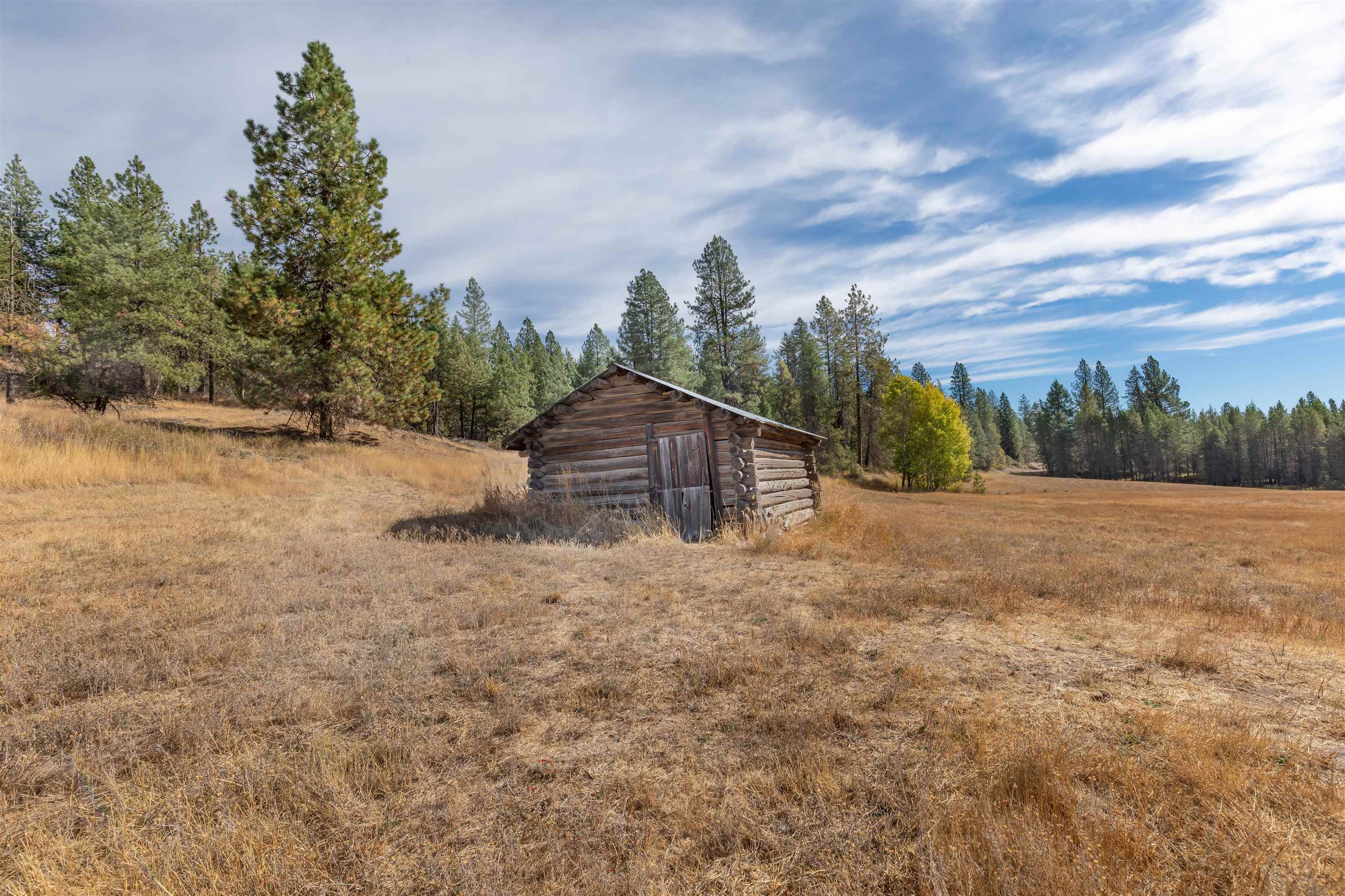 5144 Allen Road Springdale, WA 99173 - Photo 5 of 23