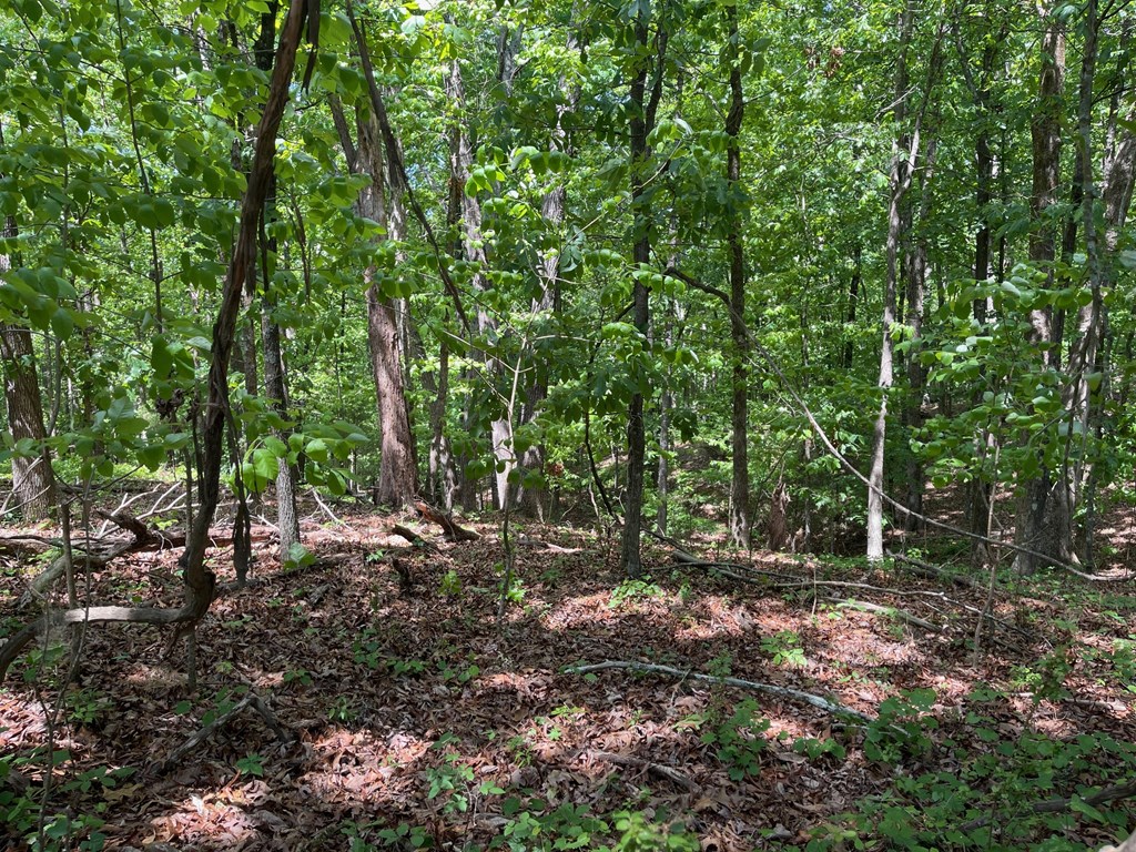 2-3 Chalcrest Way Cave Spring, GA 30124 - Photo 11 of 58