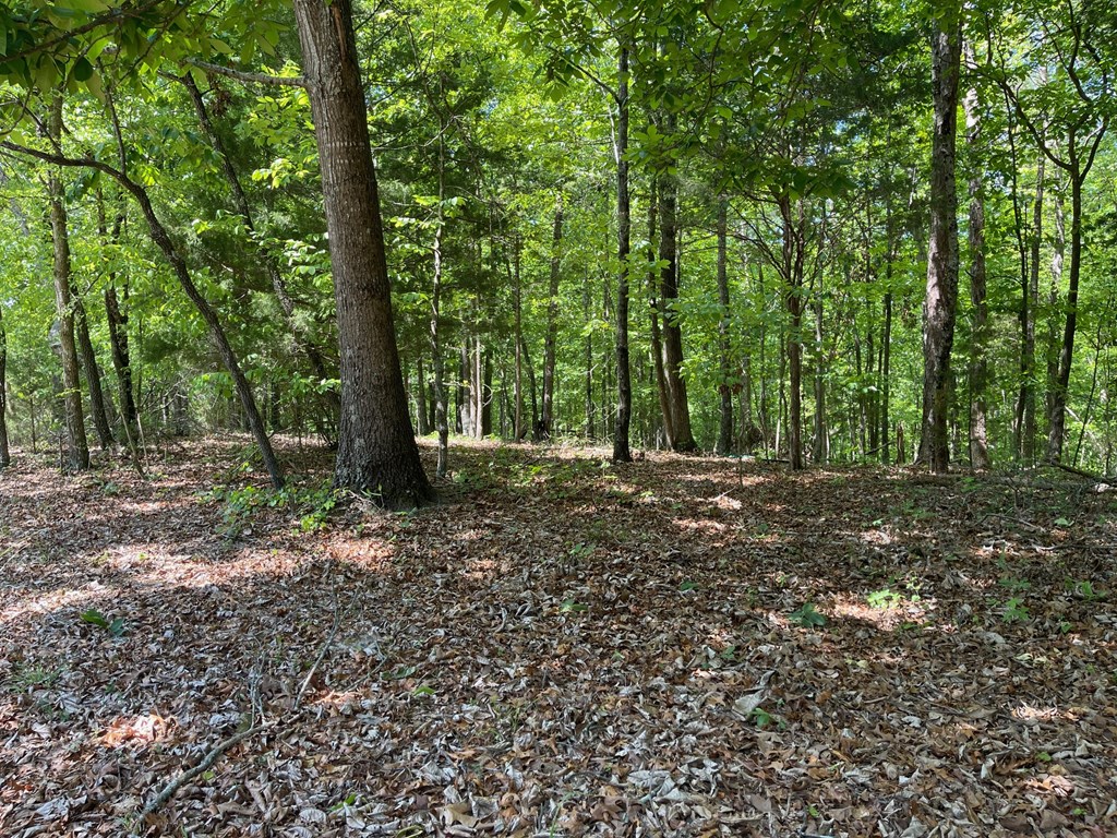 2-3 Chalcrest Way Cave Spring, GA 30124 - Photo 13 of 58