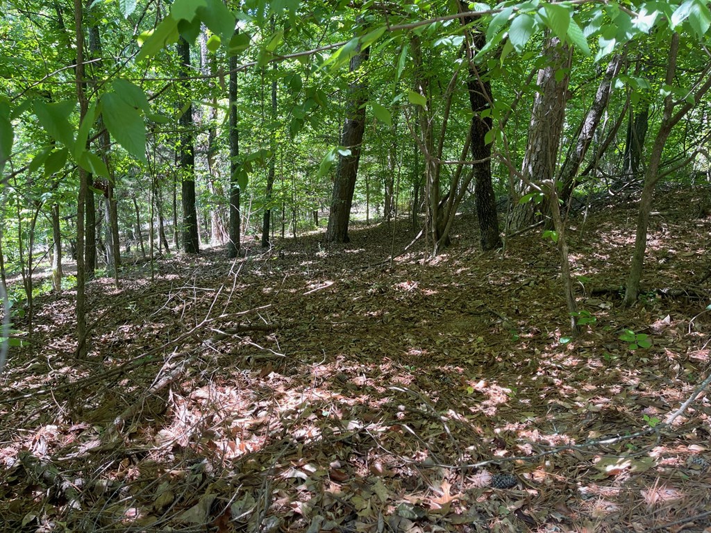 2-3 Chalcrest Way Cave Spring, GA 30124 - Photo 7 of 58
