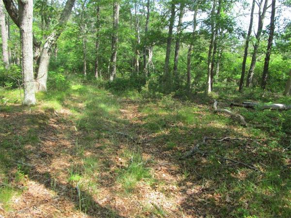 620 Tubman Road Brewster, MA 02631 - Photo 2 of 5 Gallery Image 2