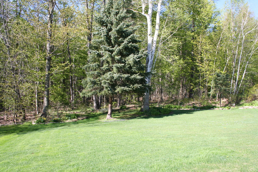 159 Kittredge Road Pittsfield, MA 01201 - Photo 11 of 15 BAck Yard