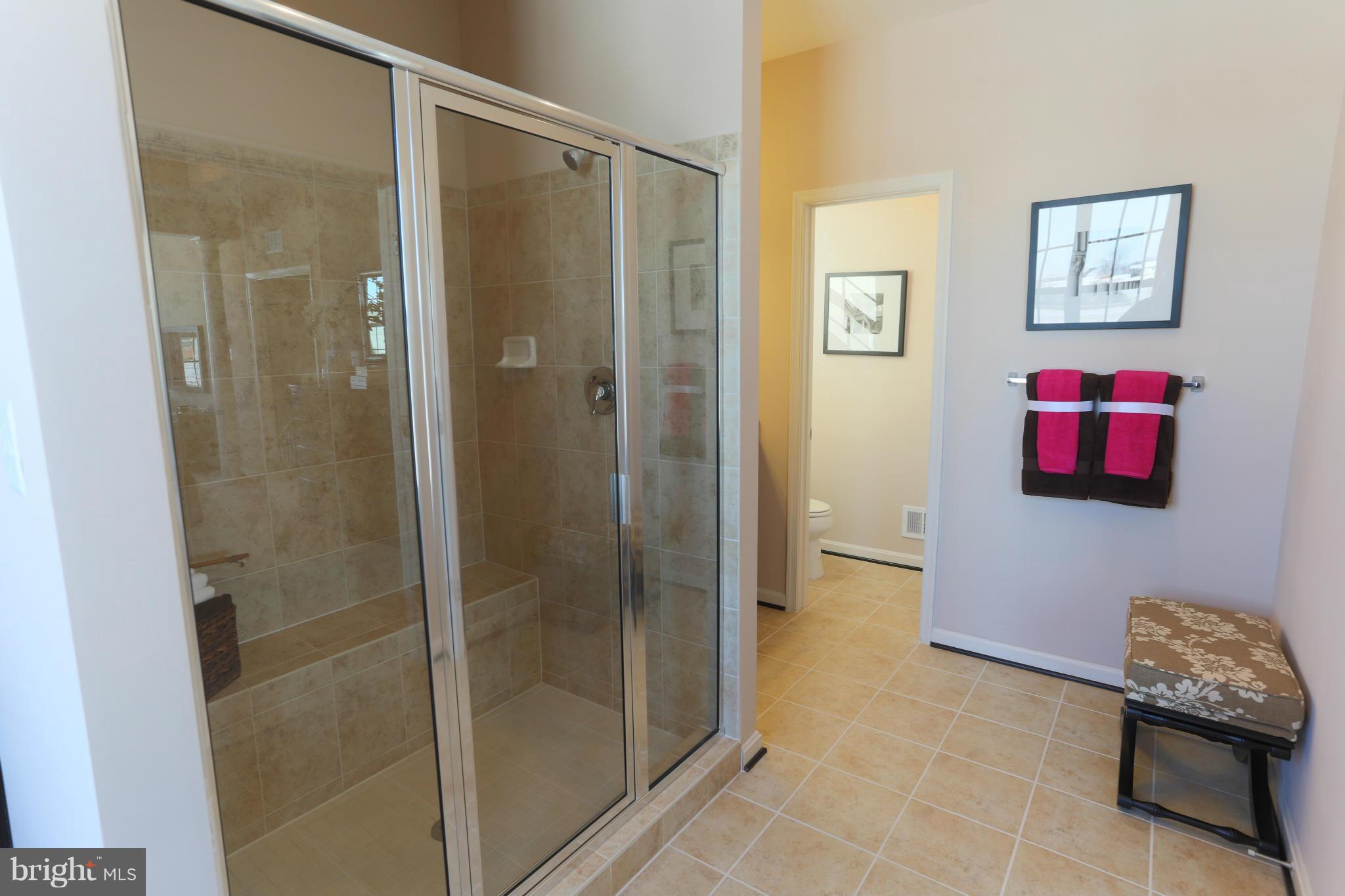 8164 Ridgely Loop Severn, MD 21144 - Photo 19 of 30 Bath (Master)