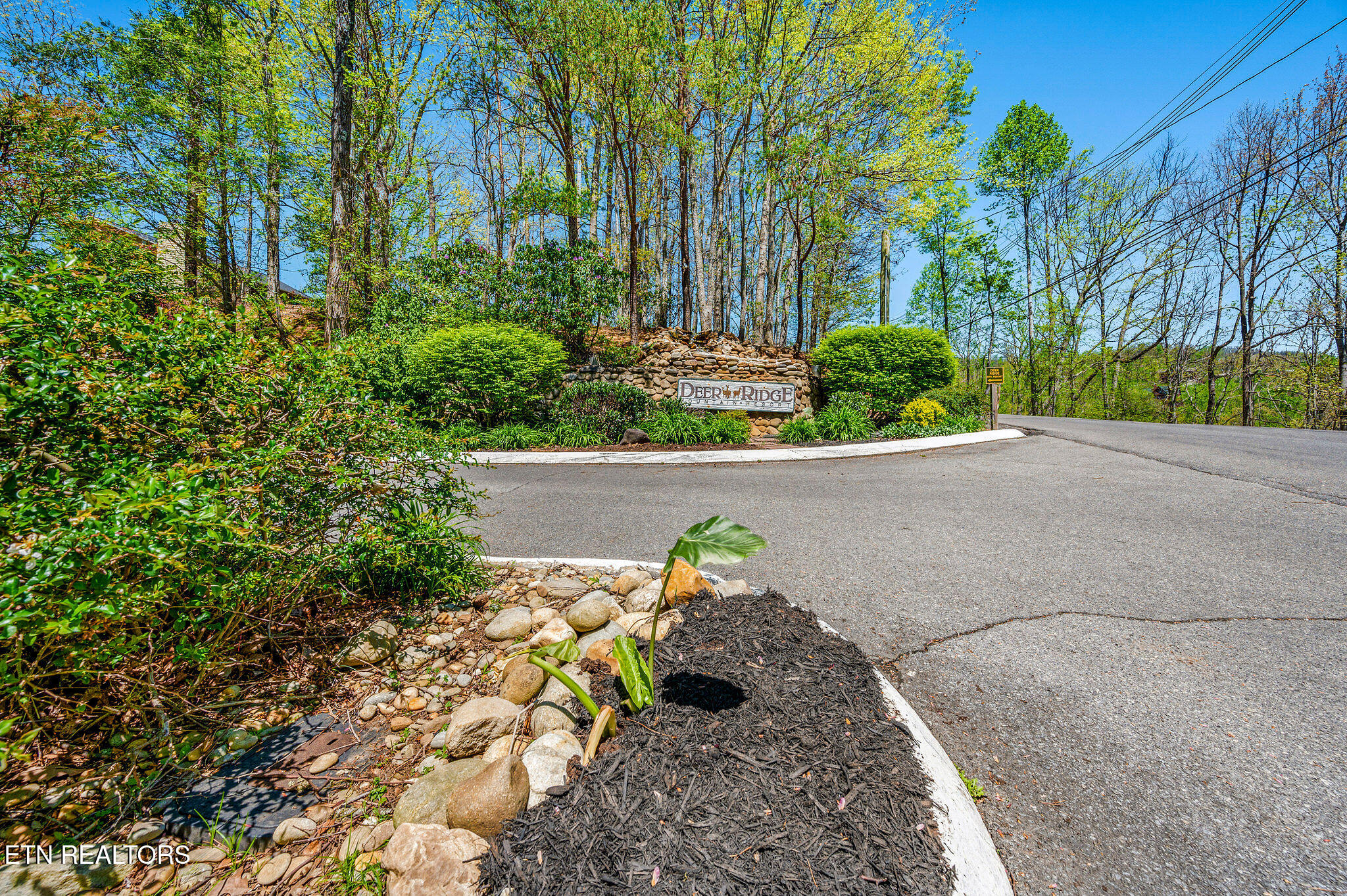 3710 Weber Road, Unit B203 Gatlinburg, TN 37738 - Photo 18 of 38 DSC_3684