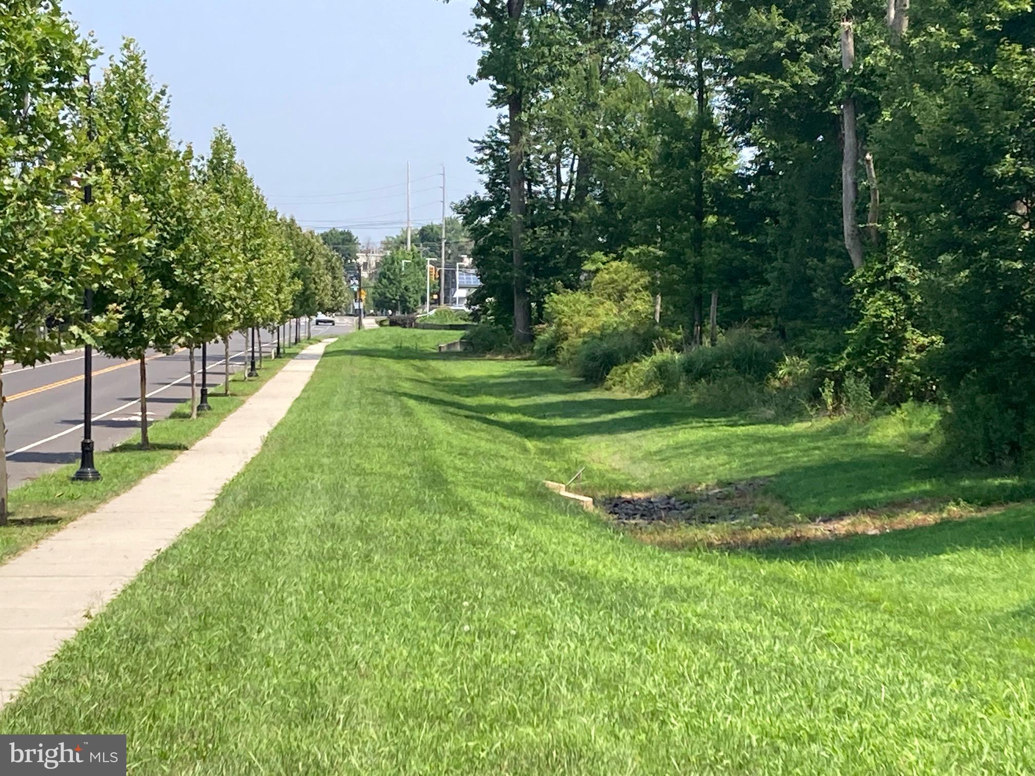 a view of a park with large trees