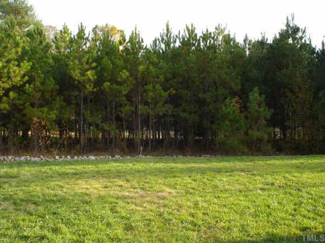 5412 Glass Ridge Road Raleigh, NC 27616 - Photo 11 of 12 a backyard of a house with lots of green space and outdoor space