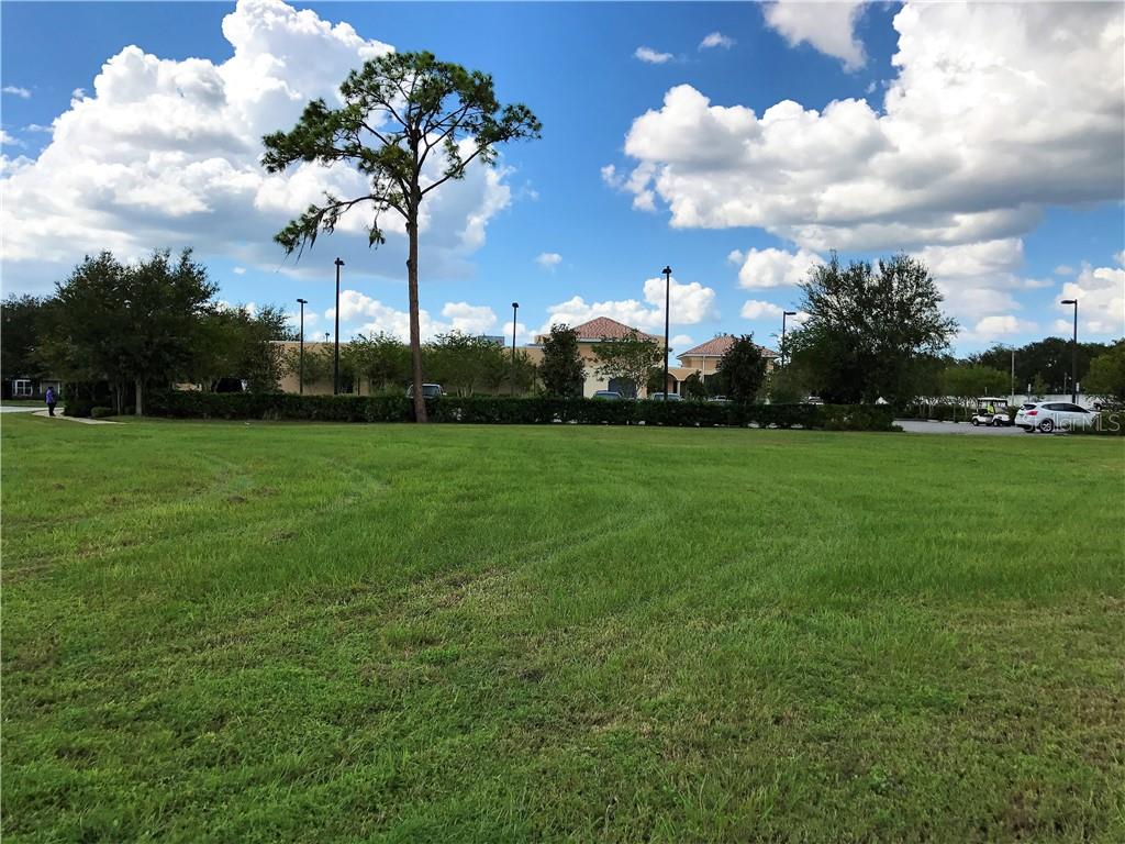 2000 Vindale Road Tavares, FL 32778 - Photo 14 of 17 a view of a tree in front of a house with a big yard
