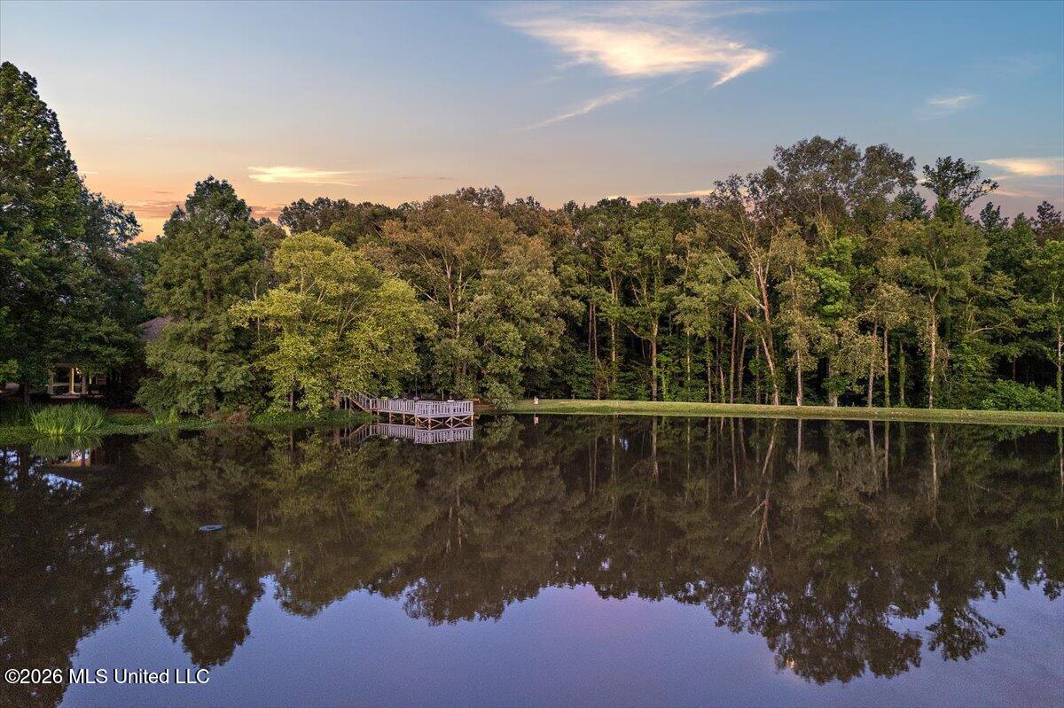 6 Red Head Point Raymond, MS 39154 - Photo 60 of 68 60-iDJI_0722