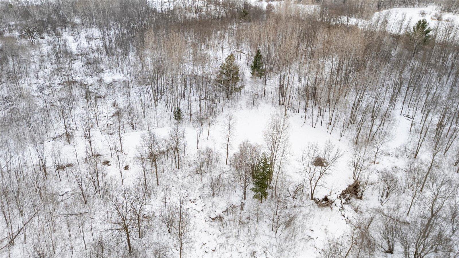 171 South 1st Street Foreston, MN 56330 - Photo 5 of 8