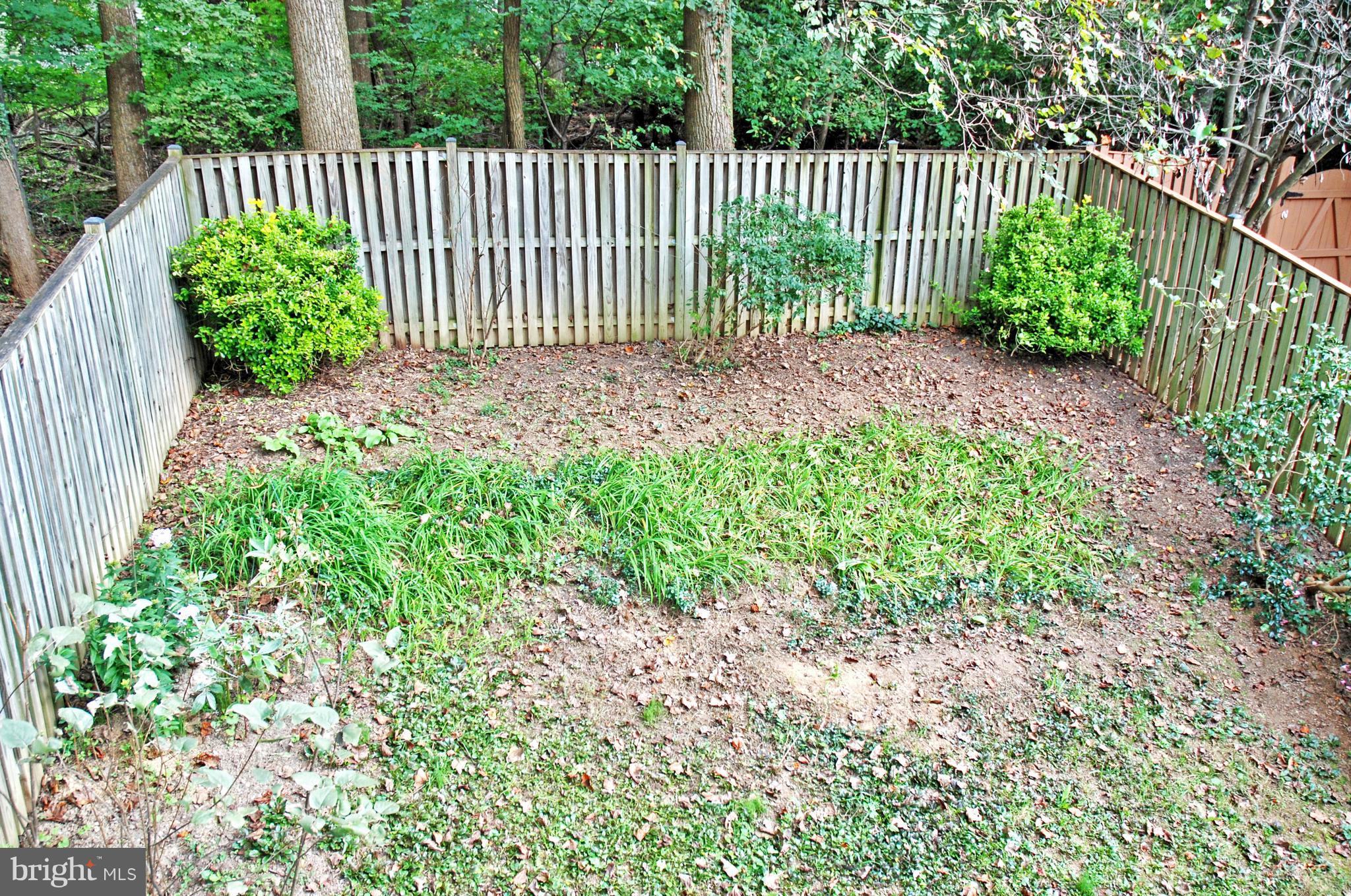 11357 Baroque Road Silver Spring, MD 20901 - Photo 24 of 24 Exterior (Rear)