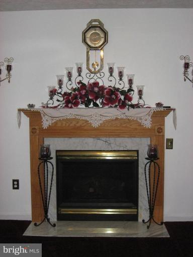 12637 High Sierra Road Lusby, MD 20657 - Photo 6 of 26 Fireplace