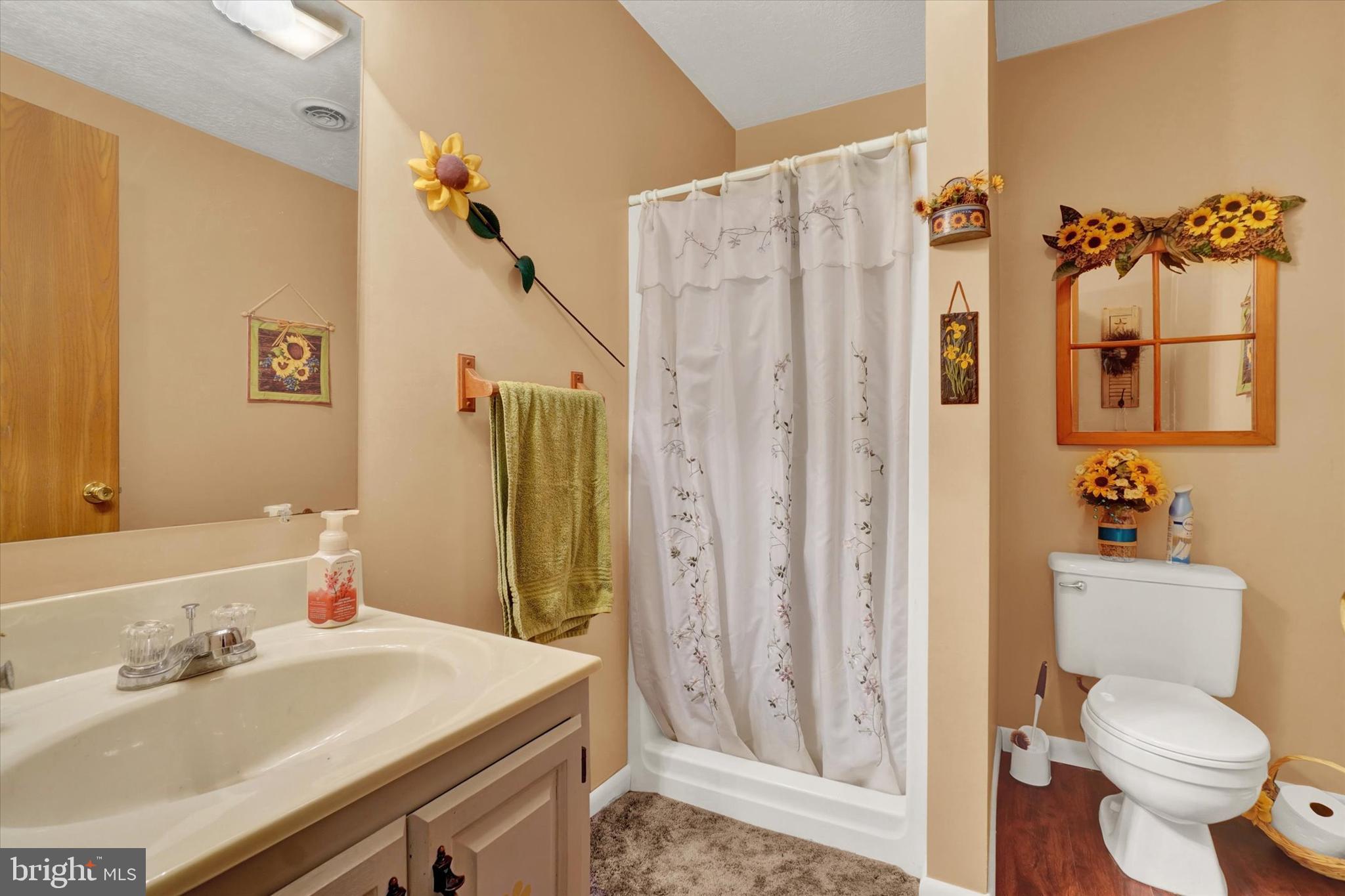 2545 Onyx Road York, PA 17408 - Photo 21 of 28 Lower level full bathroom
