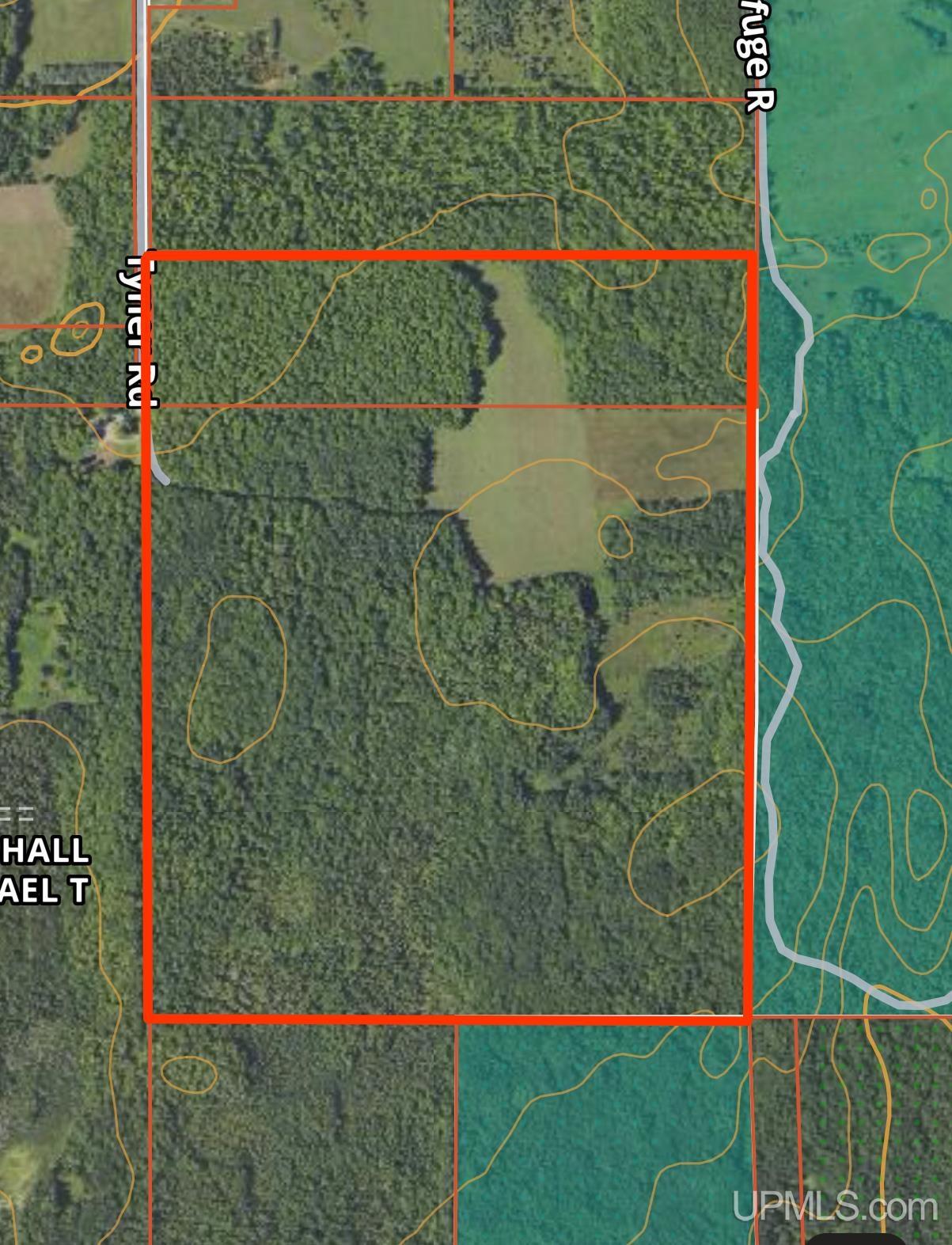 Tbd Tbd Tyner Road Chatham, MI 49816 - Photo 2 of 17