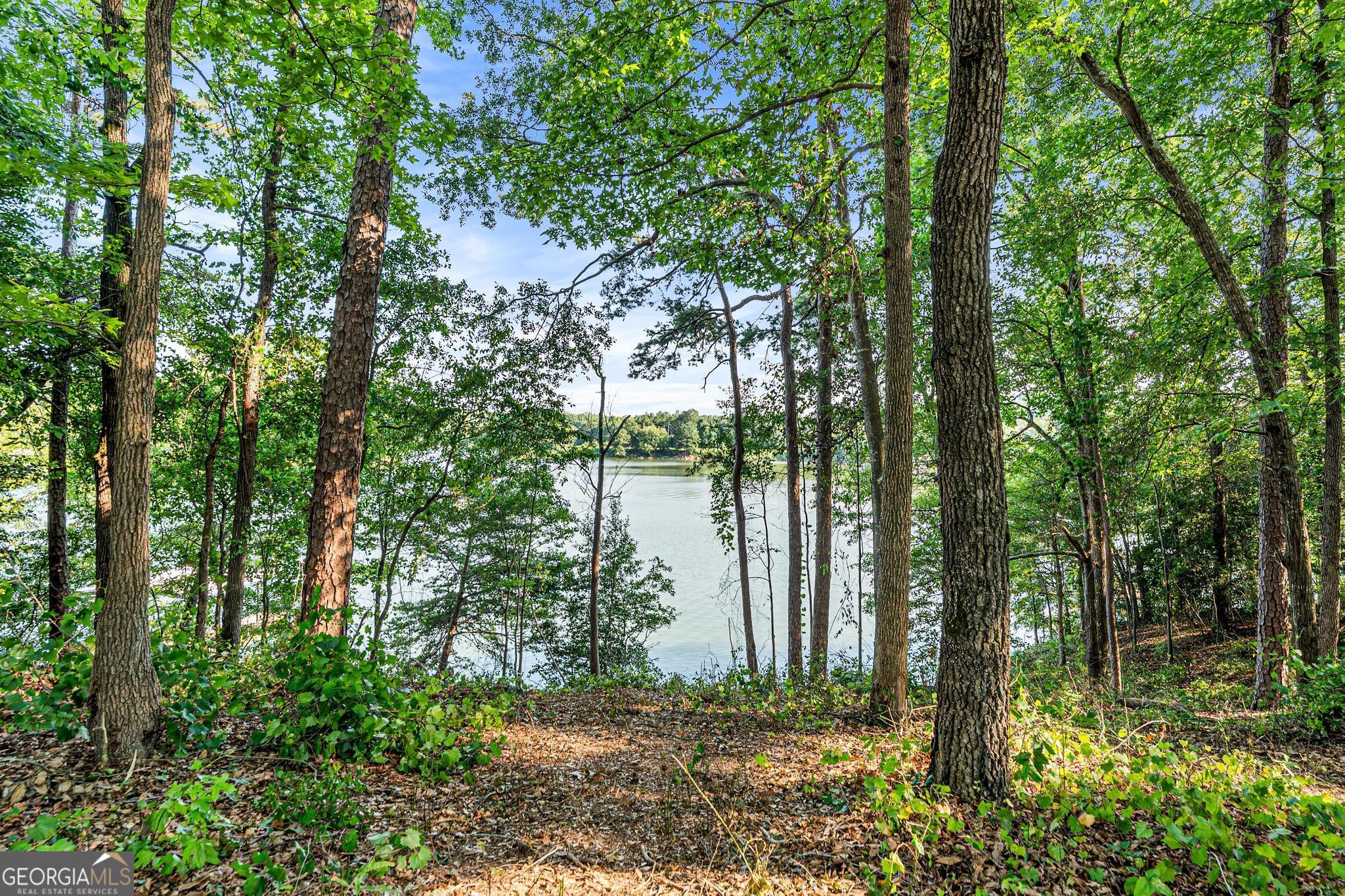 182 Cherry Rose Lane Hartwell, GA 30643 - Photo 40 of 64